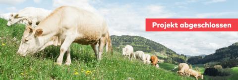isn Schwarzbergerhof abgeschlossen