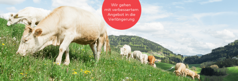 Zum Projekt - Schwarzbergerhof